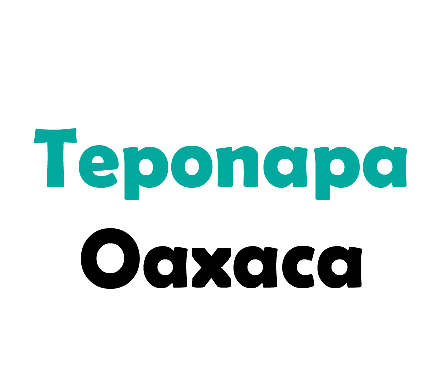 Teponapa